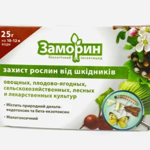 Заморин