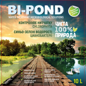 Bi Pond