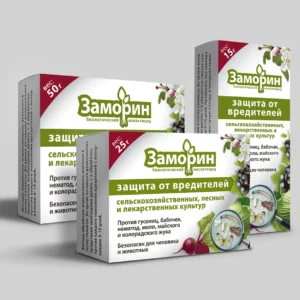Заморин